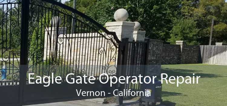 Eagle Gate Operator Repair Vernon - California