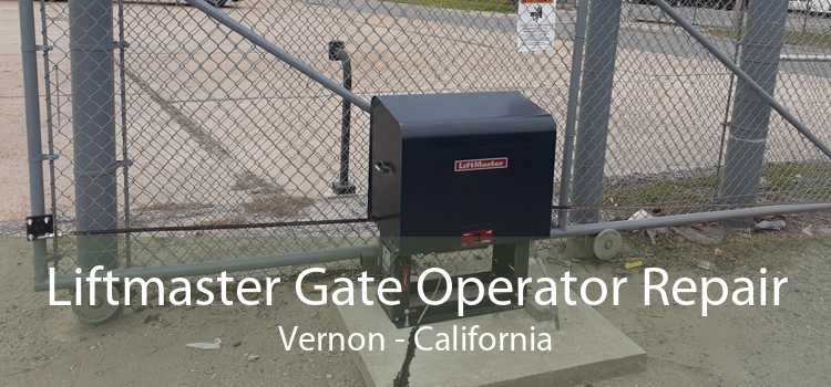 Liftmaster Gate Operator Repair Vernon - California