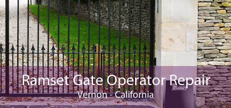 Ramset Gate Operator Repair Vernon - California